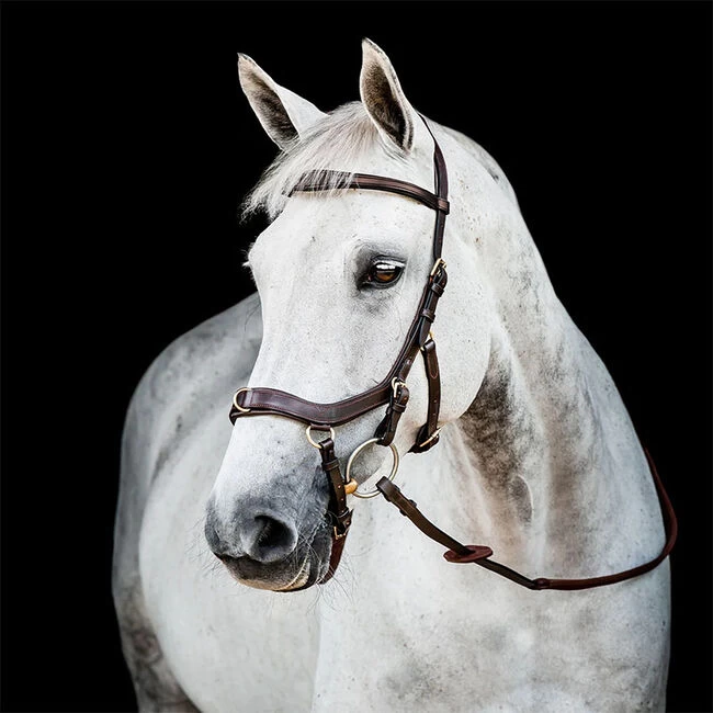 Horseware Rambo Micklem 2 Multi Bridle 3 Horseware Rambo Micklem 2 Multi Bridle