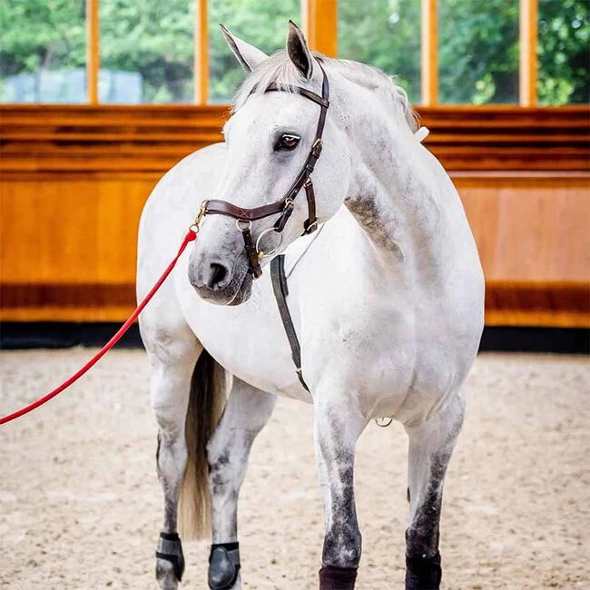 Horseware Rambo Micklem 2 Multi Bridle 4 Horseware Rambo Micklem 2 Multi Bridle - Image 2