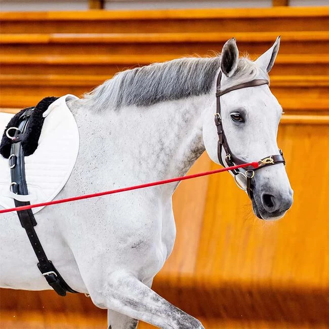 Horseware Rambo Micklem 2 Multi Bridle 5 Horseware Rambo Micklem 2 Multi Bridle - Image 3