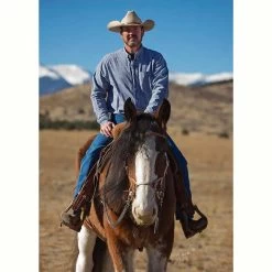 Weaver Leather Weaver Justin Dunn Bitless Bridle - Draft Size -Equestrian Supplies W100297 4