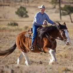 Weaver Leather Weaver Justin Dunn Bitless Bridle - Draft Size -Equestrian Supplies W100297 5