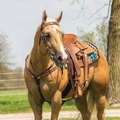 Weaver Leather Weaver Turquoise Cross Floral Vine Contoured Breast Collar 7 Weaver Leather Weaver Turquoise Cross Floral Vine Contoured Breast Collar -Equestrian Supplies W451060130 3