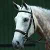 Collegiate Essential Padded Raised Fancy Stitched Cavesson Bridle 1 Collegiate Essential Padded Raised Fancy Stitched Cavesson Bridle -Equestrian Supplies WB1003408002
