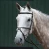Collegiate Essential Padded Raised Fancy Stitched Figure 8 Bridle 2 Collegiate Essential Padded Raised Fancy Stitched Figure 8 Bridle -Equestrian Supplies WB1003409003