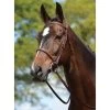 Kincade Padded Plain Raised Bridle -Equestrian Supplies WB242001