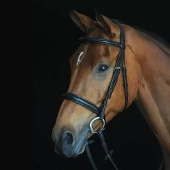 Collegiate Comfort Crown Padded Raised Cavesson Bridle