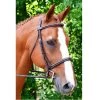 KL Select Black Oak Aster Hunter Bridle 2 KL Select Black Oak Aster Hunter Bridle -Equestrian Supplies aster bridle