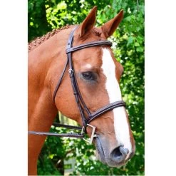 KL Select Black Oak Aster Hunter Bridle