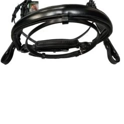 Passier Atlas Snaffle Bridle -Equestrian Supplies atlas close up