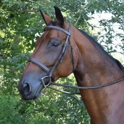 KL Select Black Oak Spruce Hunter Bridle