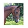KL Select Black Oak Laurel Raised Hunter Bridle