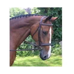 KL Select Black Oak Laurel Raised Hunter Bridle