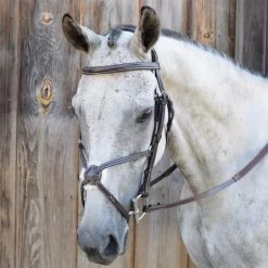 KL Select Black Oak Cedar Figure 8 Bridle