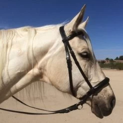 Dr. Cook Bitless English Leather Headstall