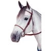 Kincade Raised Fancy Stitched Bridle 1 Kincade Raised Fancy Stitched Bridle -Equestrian Supplies kincaderaisedfancybridle 1