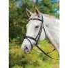 Shires Avignon Louisville Bridle -Equestrian Supplies kw70371 1 1