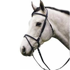 Henri De Rivel Padded Dressage Bridle With Flash