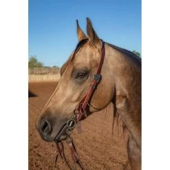 Professional's Choice Ranch 3/4" Single Ear Headstall