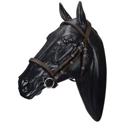 Wintec Synthetic Bridle -Equestrian Supplies wintec bridle no flash brown